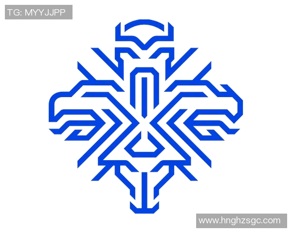 冰岛足球队标志设计的独特魅力与文化象征解析